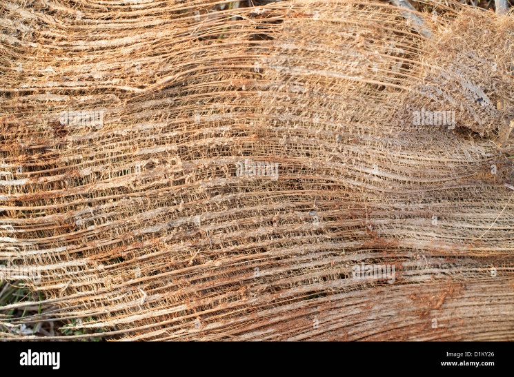 Coconut fiber texture